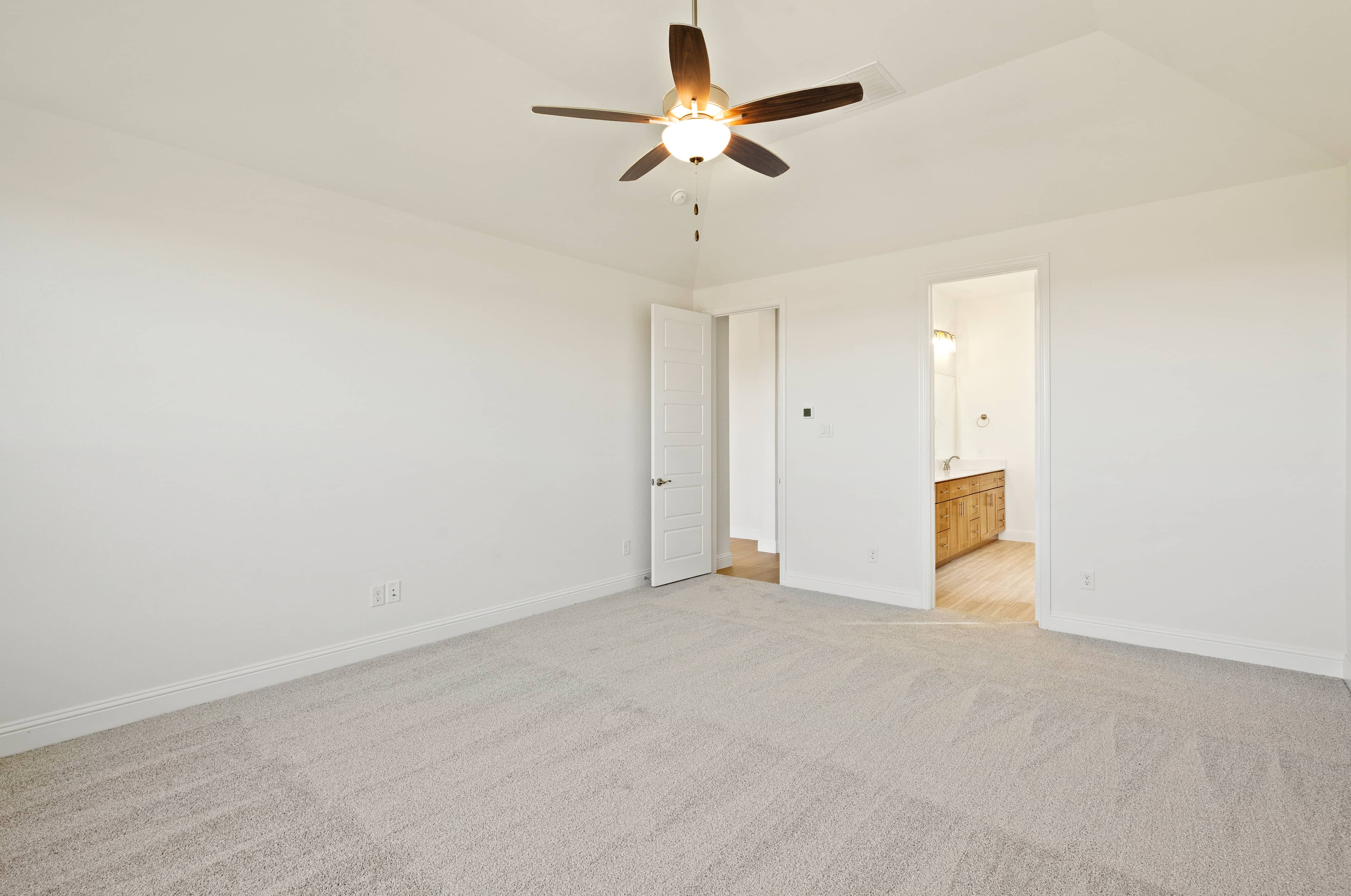 3008 Wallis Dr., Melissa, TX 75454 photo 28
