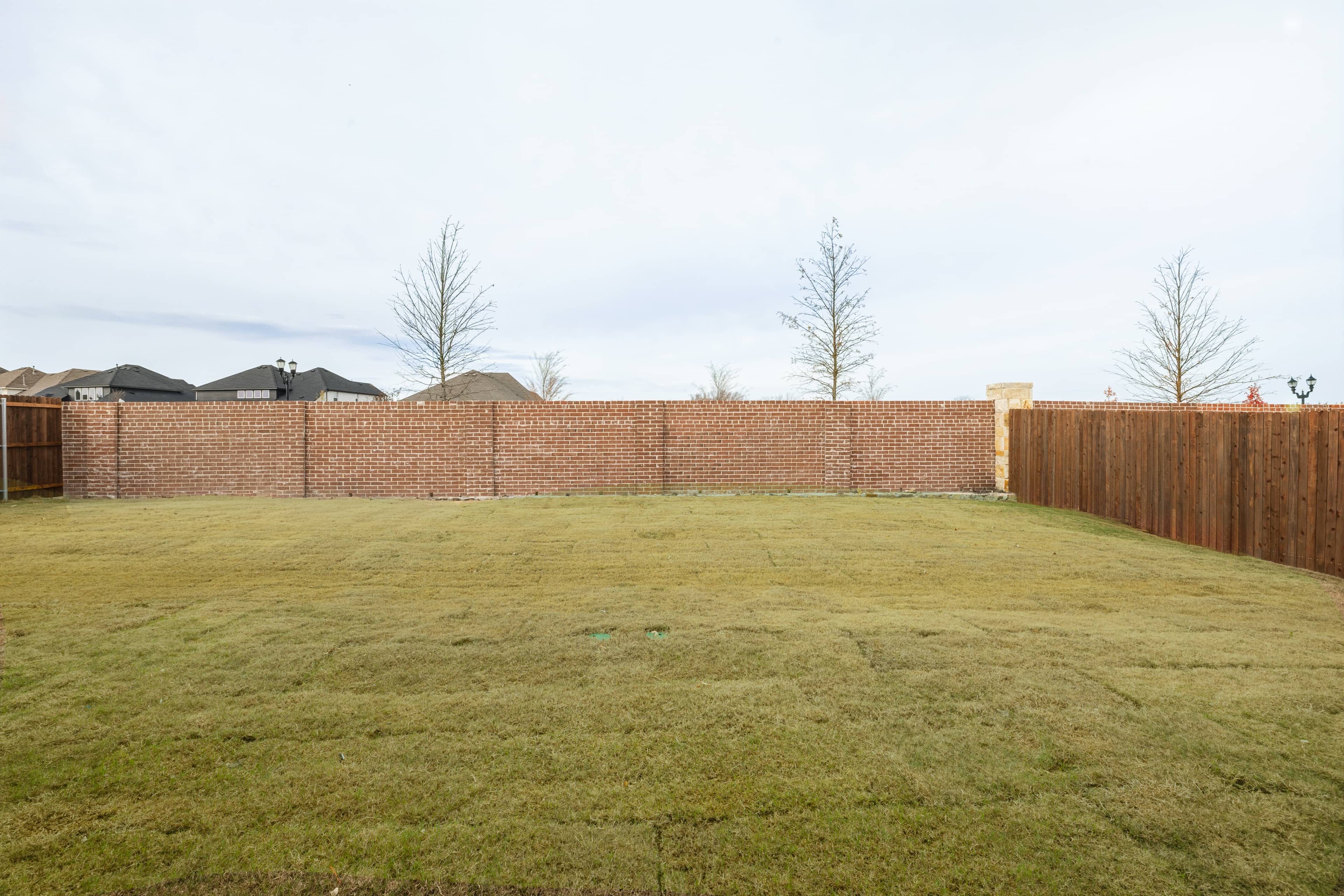 407 Sedgwick Dr., Fate, TX 75189 photo 48