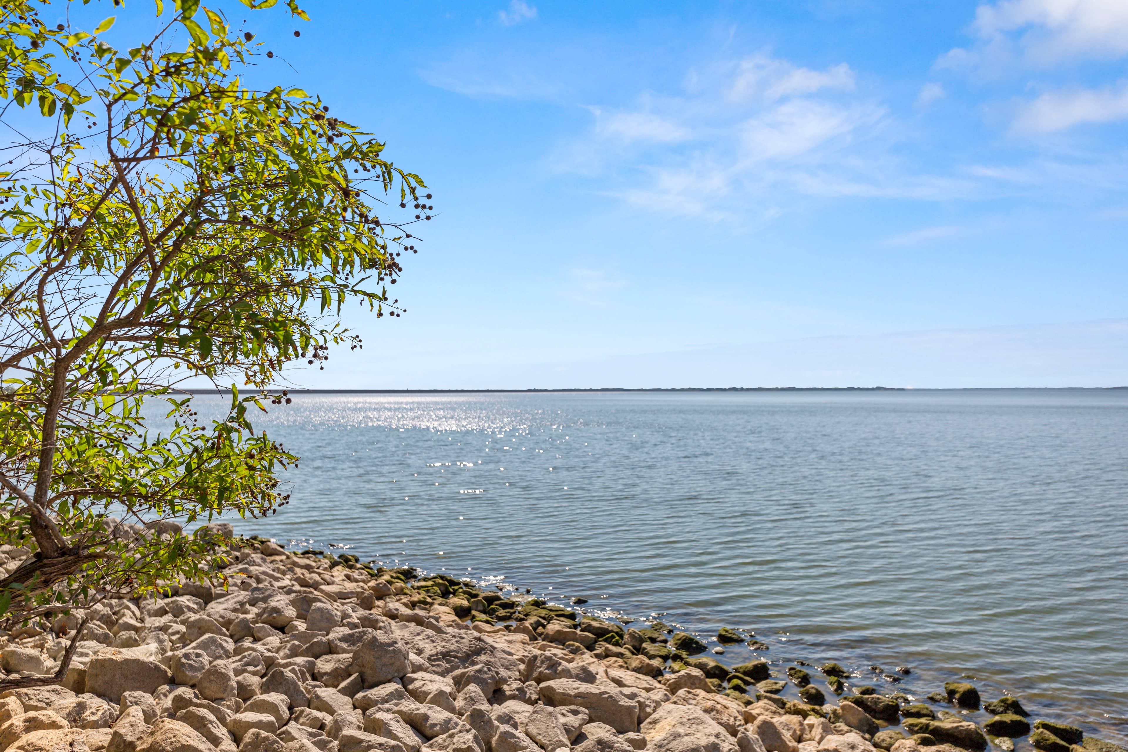 Lake Breeze photo