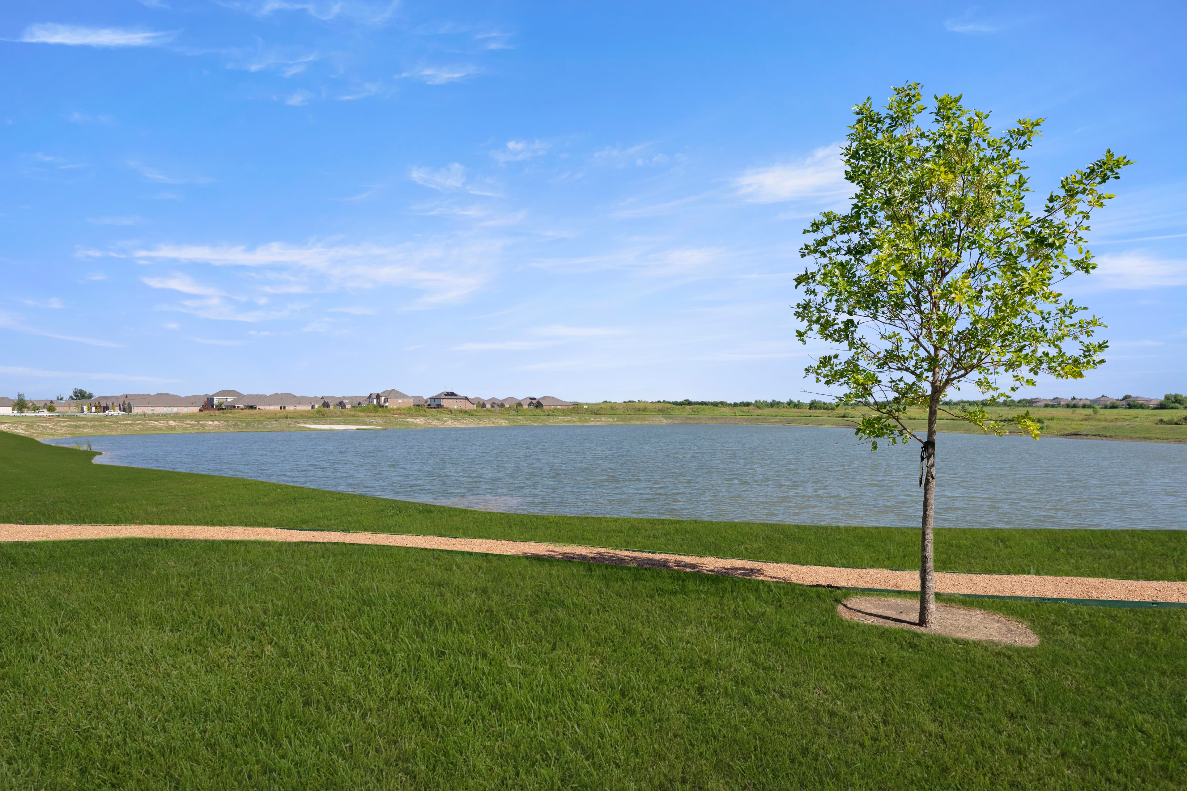 Walden Pond photo