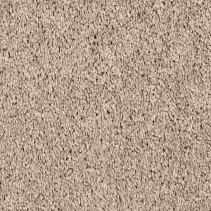 Carpet — Birdbath