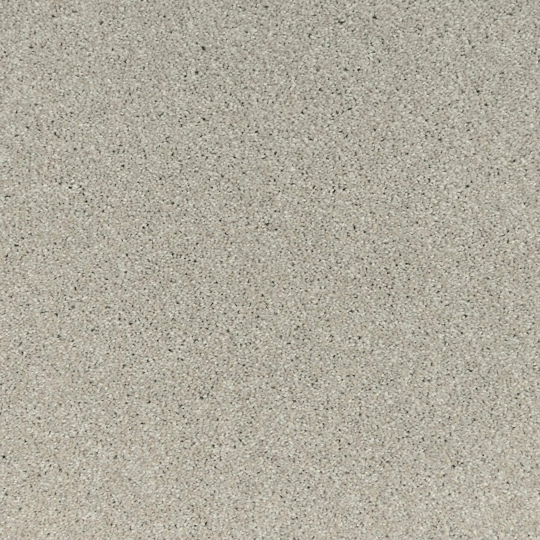 Carpet — LINEN LACE
