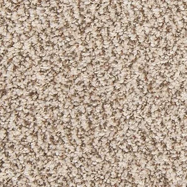 Carpet — Elk Beige