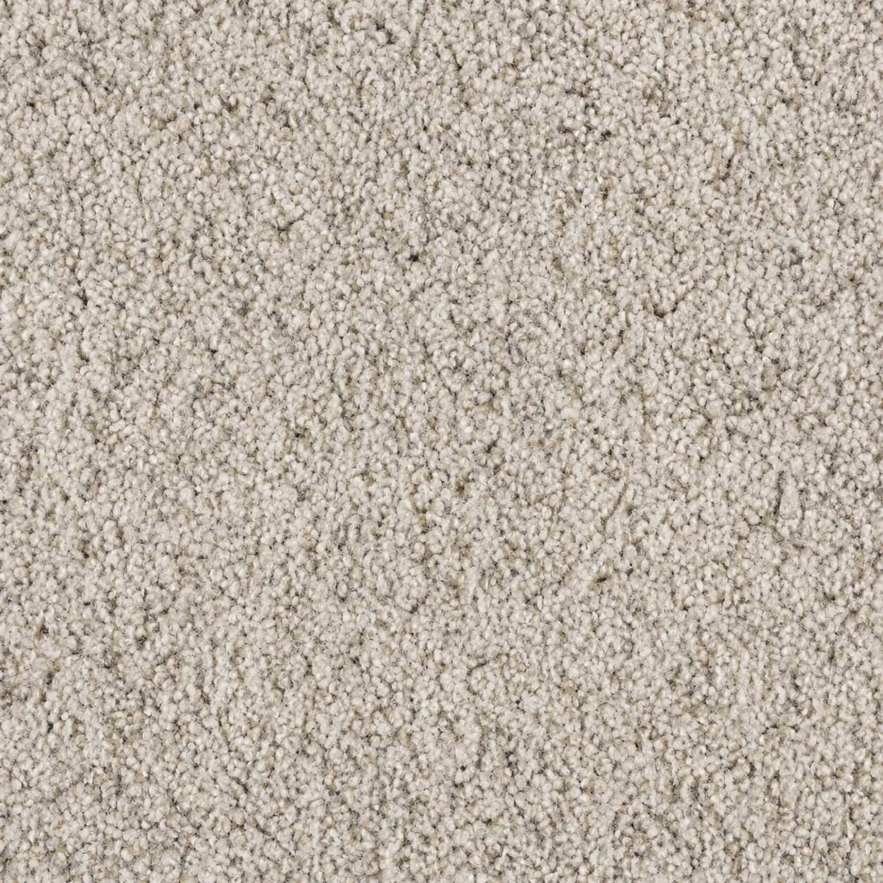 Flooring & Tile — Carpet - Bayside