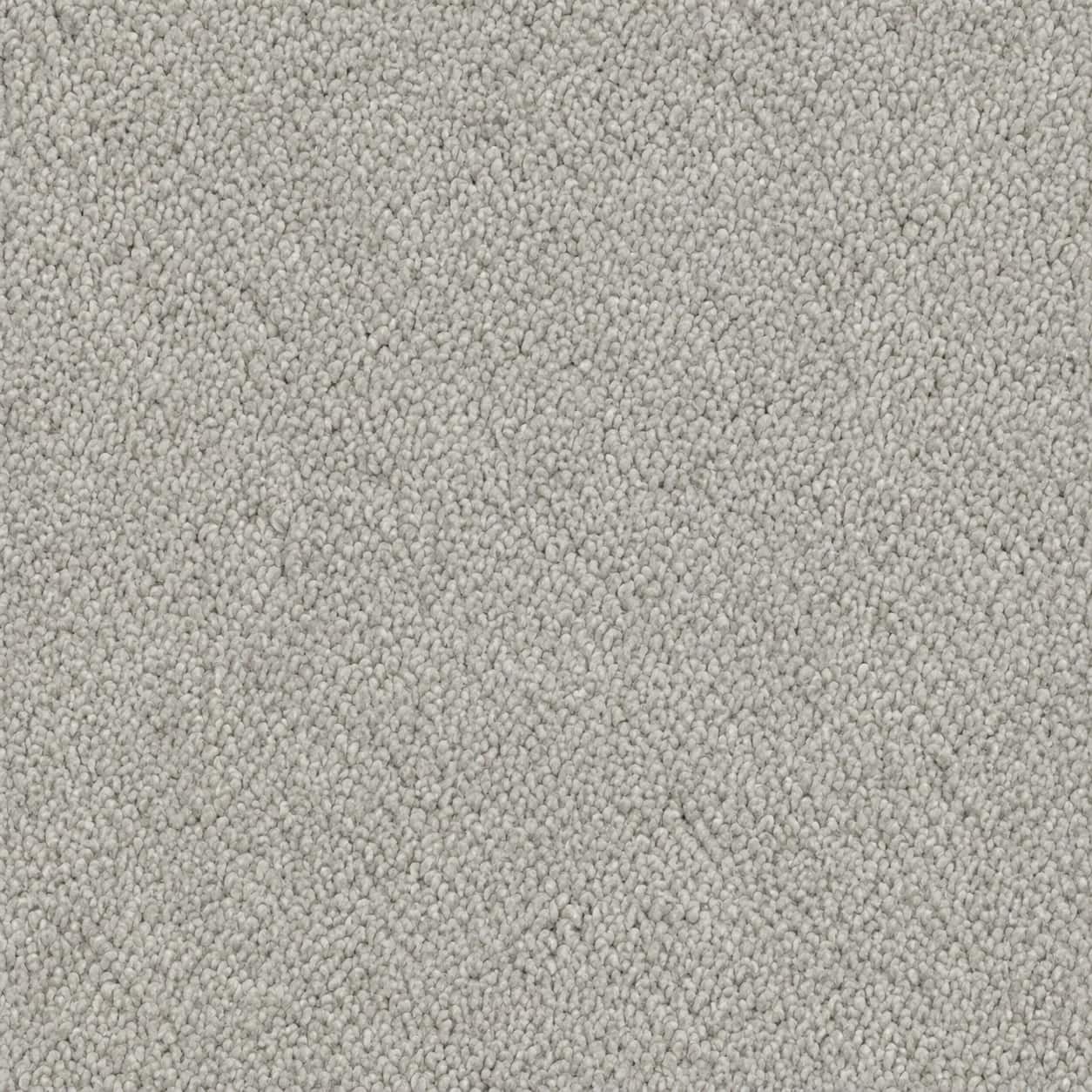 Flooring & Tile — Carpet - Silver Birch