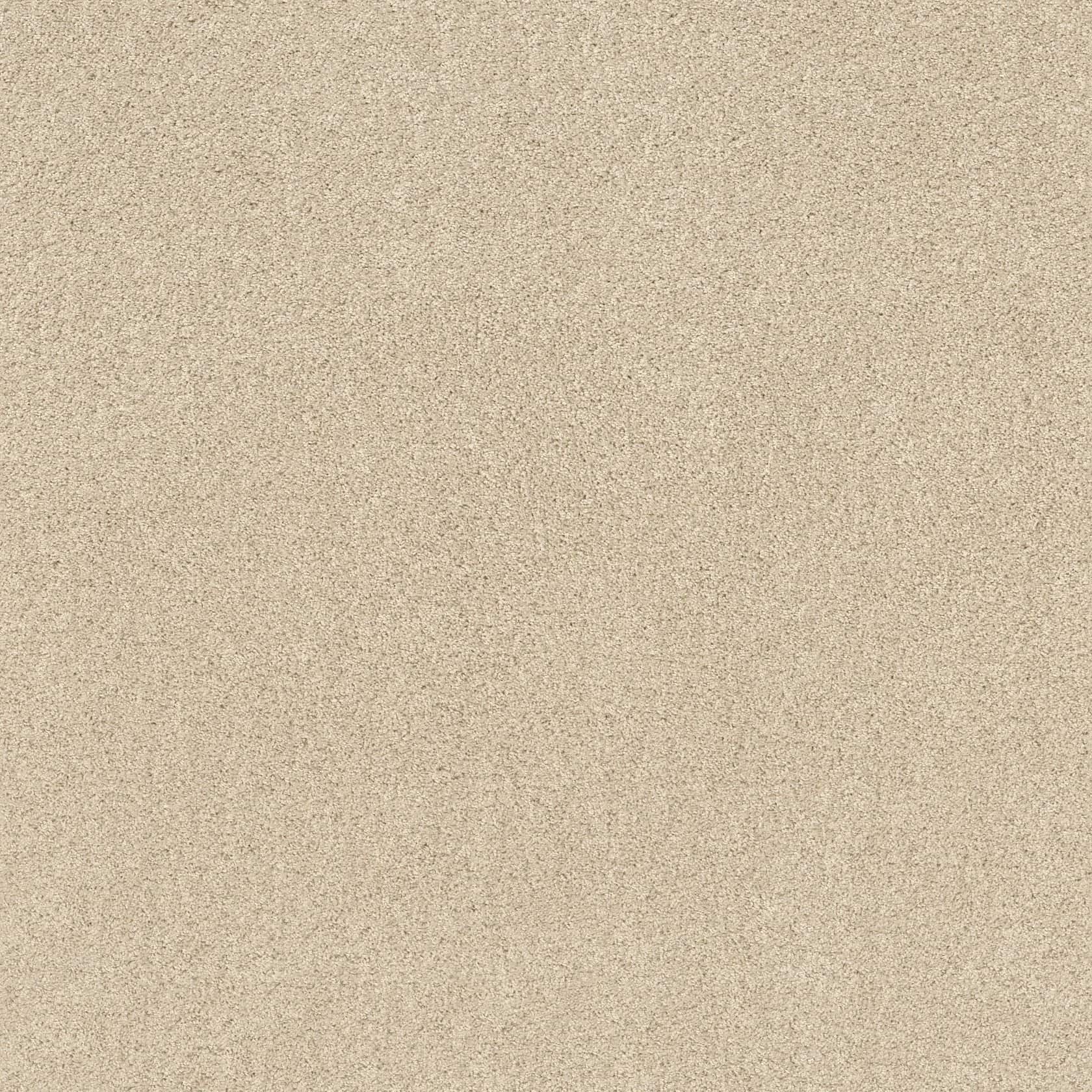 Flooring & Tile — Luxury Carpet - Winter White