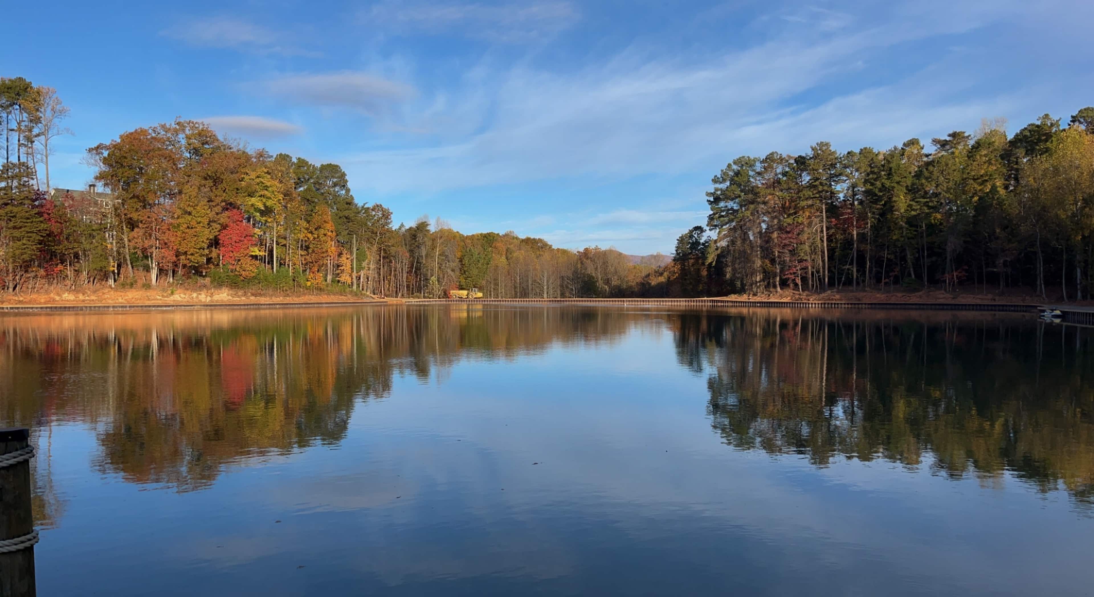 Austin Springs